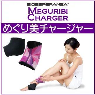 チャージャー